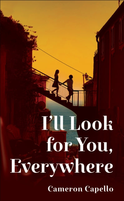 I'll Look for You, Everywhere : the highly anticipated and mesmerizing debut romance novel of summer 2024 - 9781035035892
