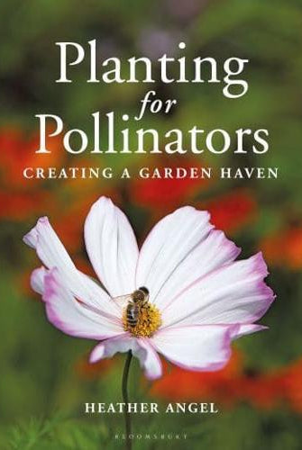 Planting for Pollinators : Creating a Garden Haven