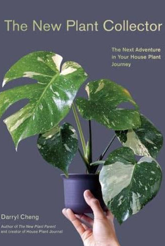 The New Plant Collector : The Next Adventure in Your House Plant Journey