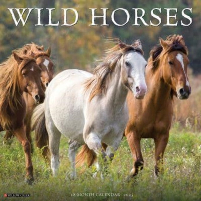 Wild Horses 2025 12 X 12 Wall Calendar - 9781549245466