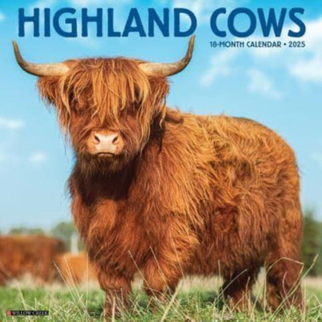 Highland Cows 2025 12 X 12 Wall Calendar - 9781549246432