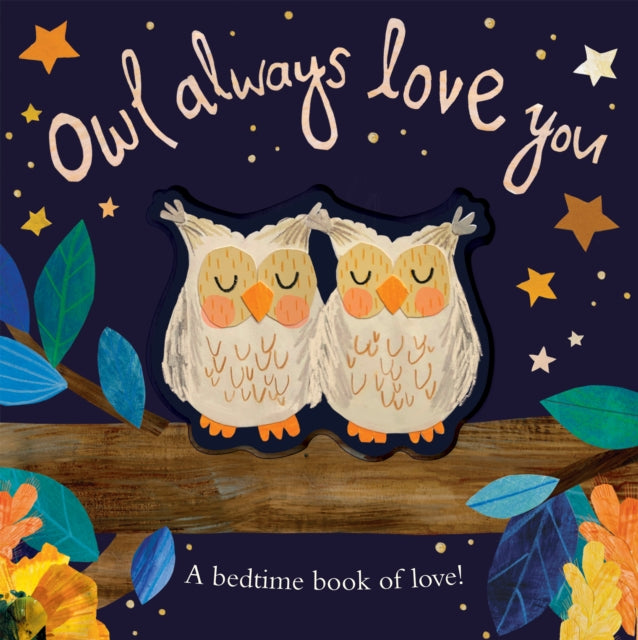 Owl Always Love You : A bedtime book of love! - 9781848579798