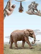 The Magnificent Book of Animals : 7