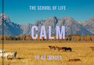 Calm in 40 Images : The art of finding serenity - 9781916753006