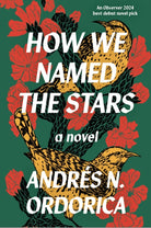 How We Named the Stars - 9781916812079