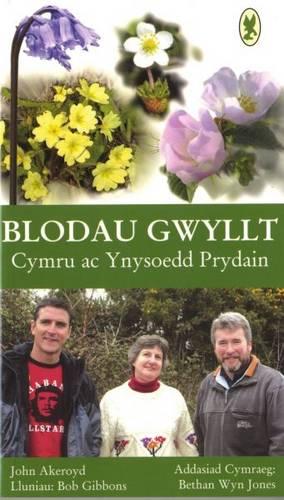 Blodau Gwyllt Cymru ac Ynysoedd Prydain