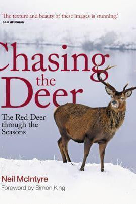 Chasing the Deer : The Red Deer through the Seasons