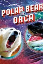Polar Bear vs Orca