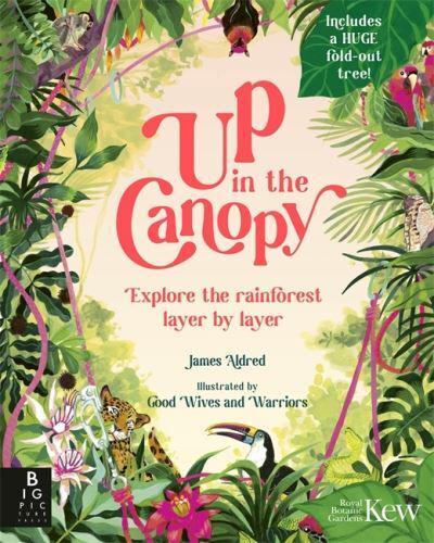 Up in the Canopy : Explore the Rainforest, Layer by Layer