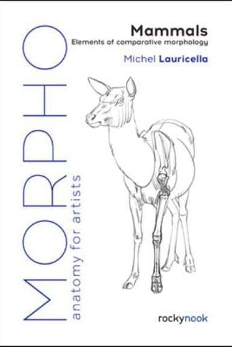 Morpho: Mammals : Elements of Comparative Morphology
