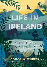 Life in Ireland : A Short History of a Long Time