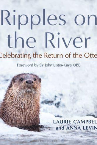 Ripples on the River : Celebrating the Return of the Otter