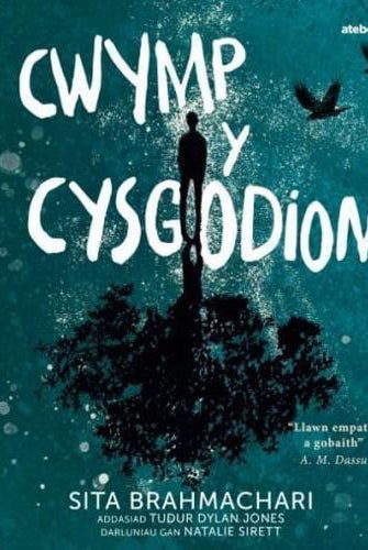 Darllen yn Well: Cwymp y Cysgodion