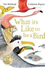 What it's Like to be a Bird