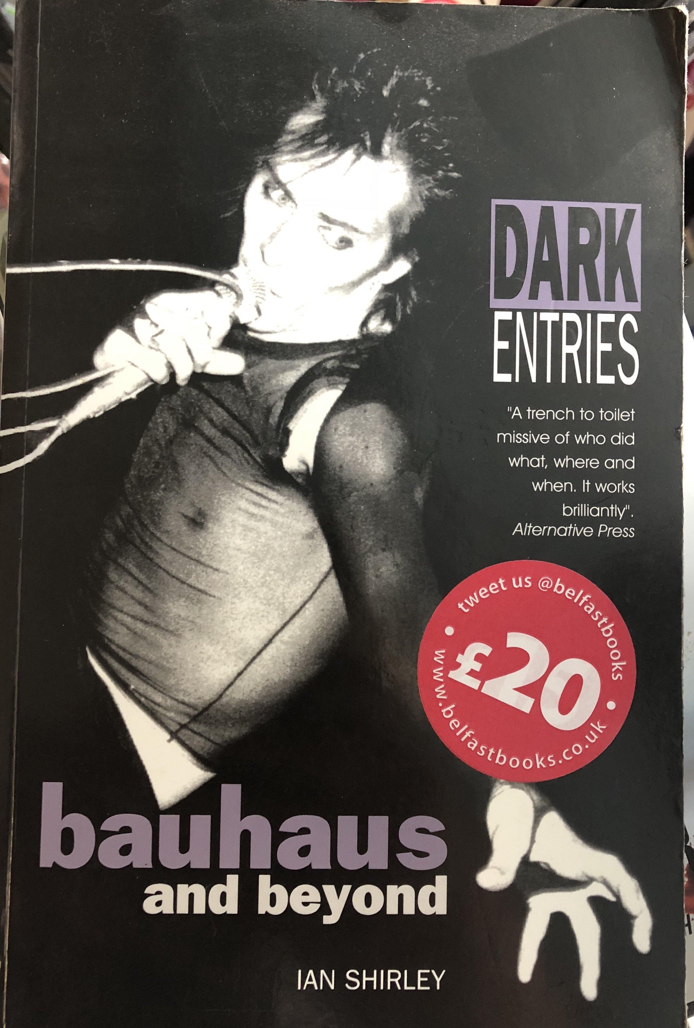 Dark Entries: Bauhaus and beyond (Music) - Belfast Books